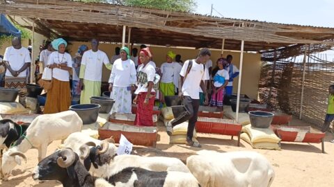 Formation en embouche ovine et en aviculture:  Le PRAPS2 transforme les perspectives des bénéficiaires