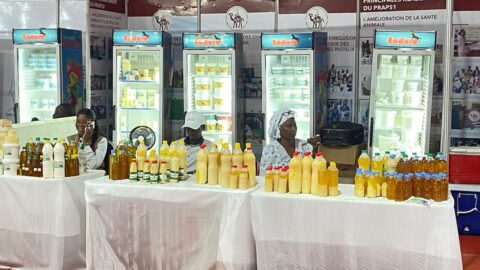 FIARA  2025:  Des femmes transformatrices de lait, ambassadrices du pastoralisme moderne